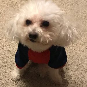 Meet your Posher, Debbie